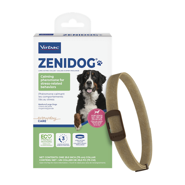 TP_Packshot_Zenidog_COL-x1-M-L_US_face