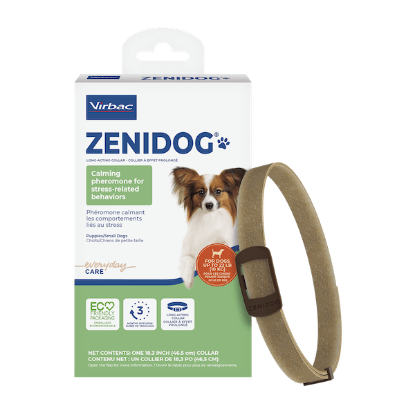 TP_Packshot_Zenidog_COL-x1-S-M_US_face