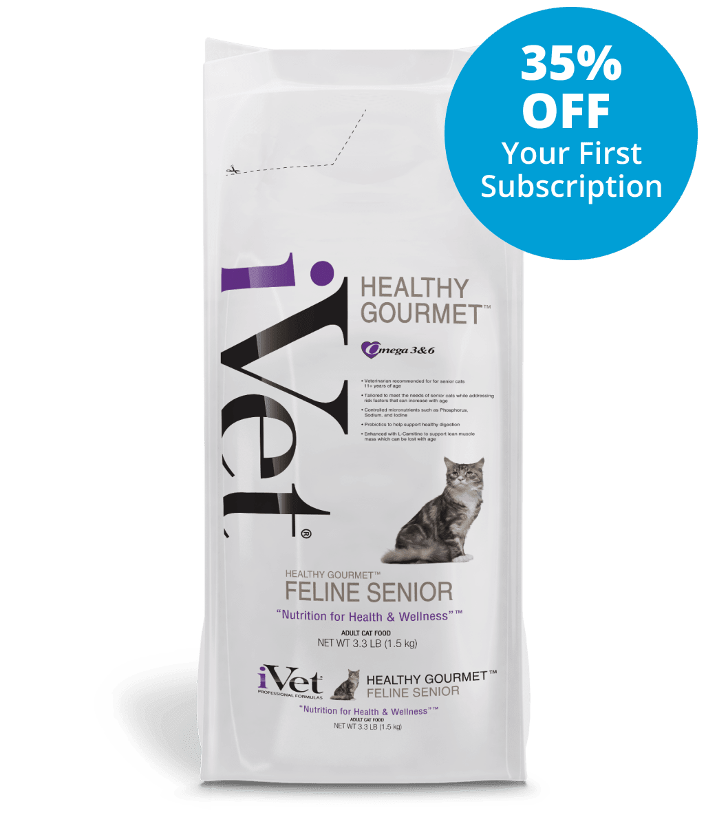 sources of l carnitine for cats LiquiCarn 4oz (120mL) Healthy Gourmet Feline Senior
