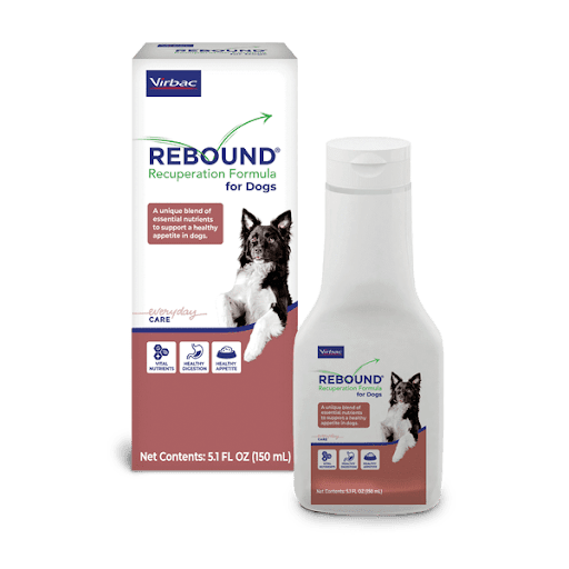 rebound-front-dog