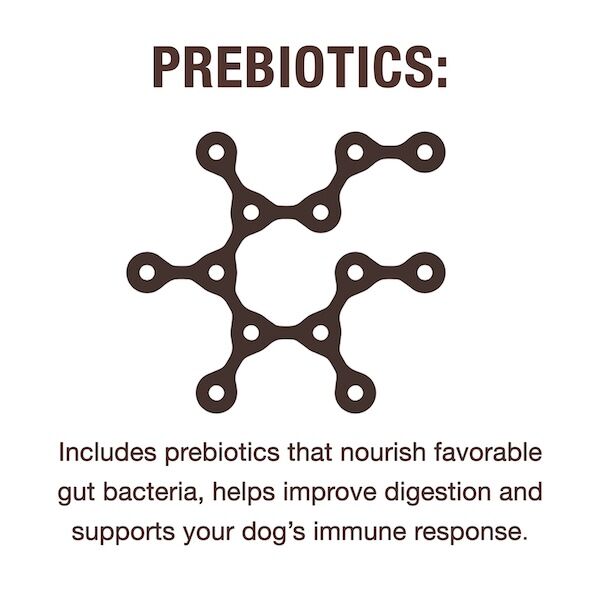NutriCareGI_Prebiotics – WET