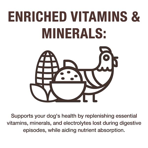NutriCareGI_Vitamins&Minerals – WET