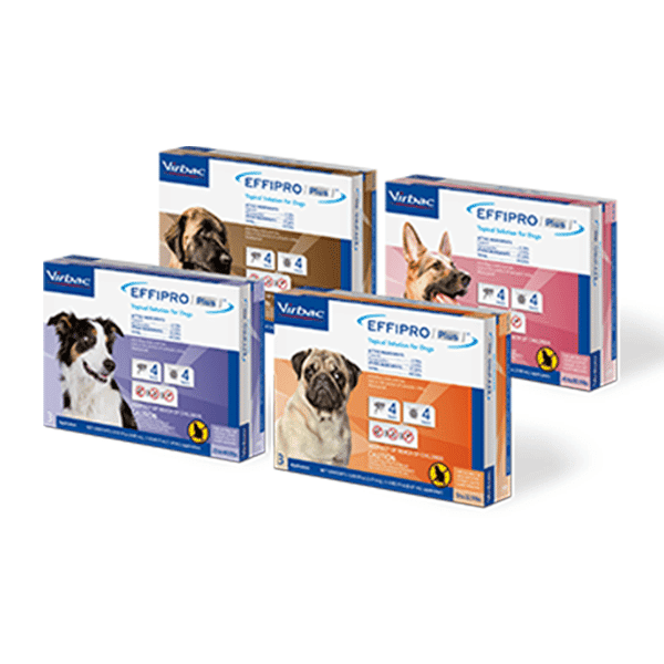 EFFIPRO DOGS