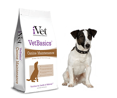 VetBasics-Maintenance-Bag-withDogs