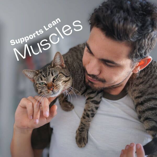 Adult Cat HP Lean Muscles