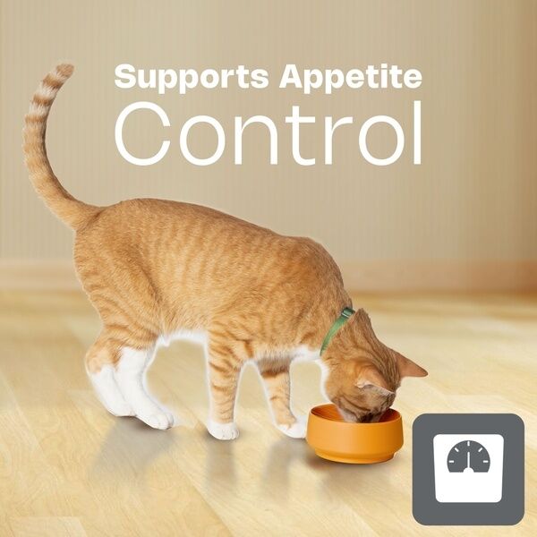 Adult Cat HPM Appetite Control