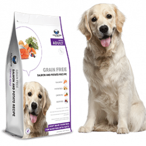 Ivet dog fashion food reviews