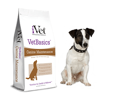 Ivet dog fashion food reviews