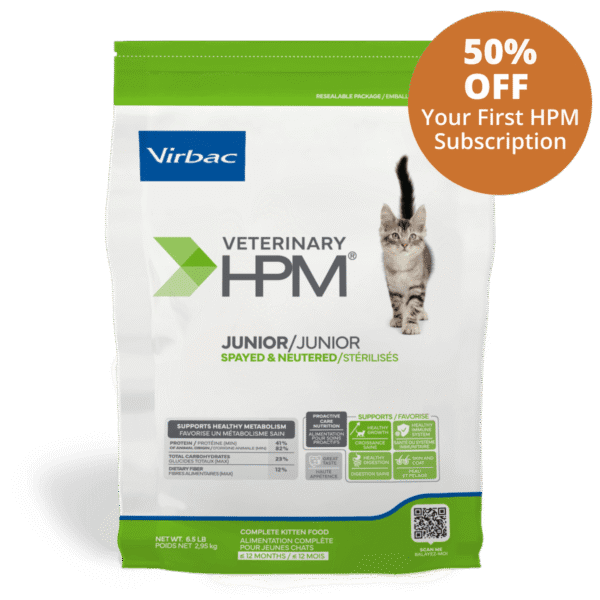 HPM Junior Cat
