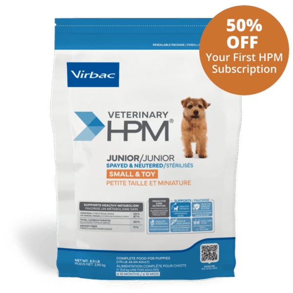 HPM Junior SmallToy Dog