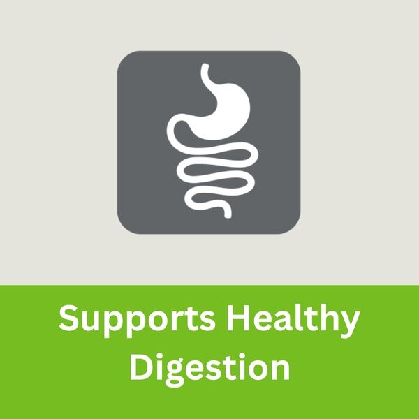 Adult Cat HPM Healthy Digestion